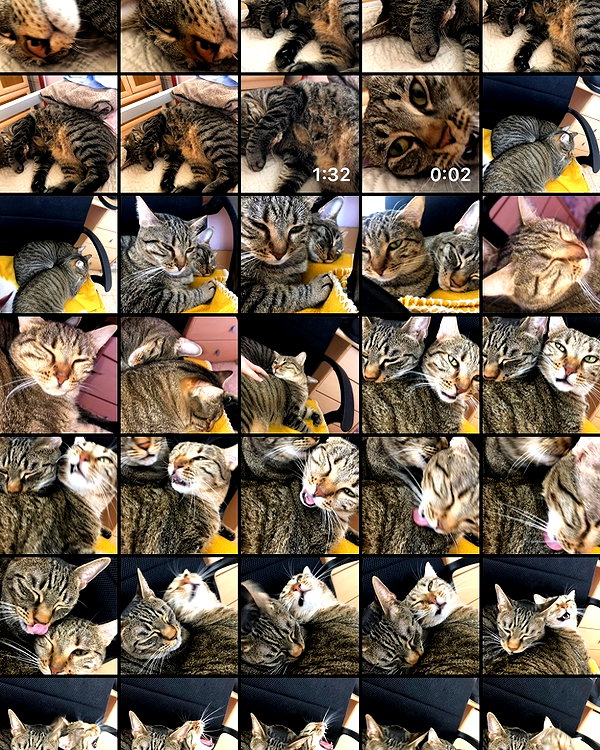 6a1it instagram image archive image