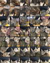 6a1it Altpins Profile Picture