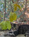 6a1it Altpins Profile Picture