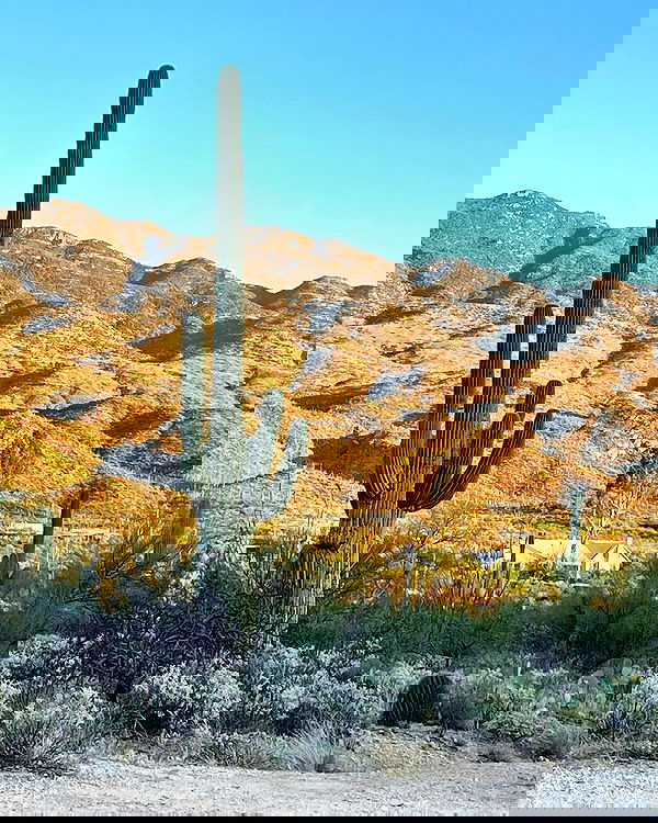 6nattynat9 6nattynat9 archive image