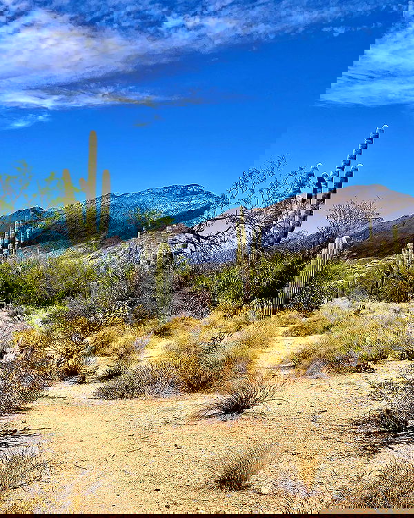 6nattynat9 6nattynat9 archive image