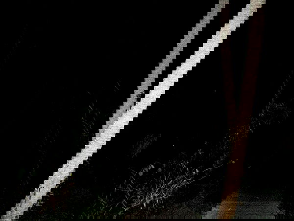 6nattynat9 6nattynat9 archive image