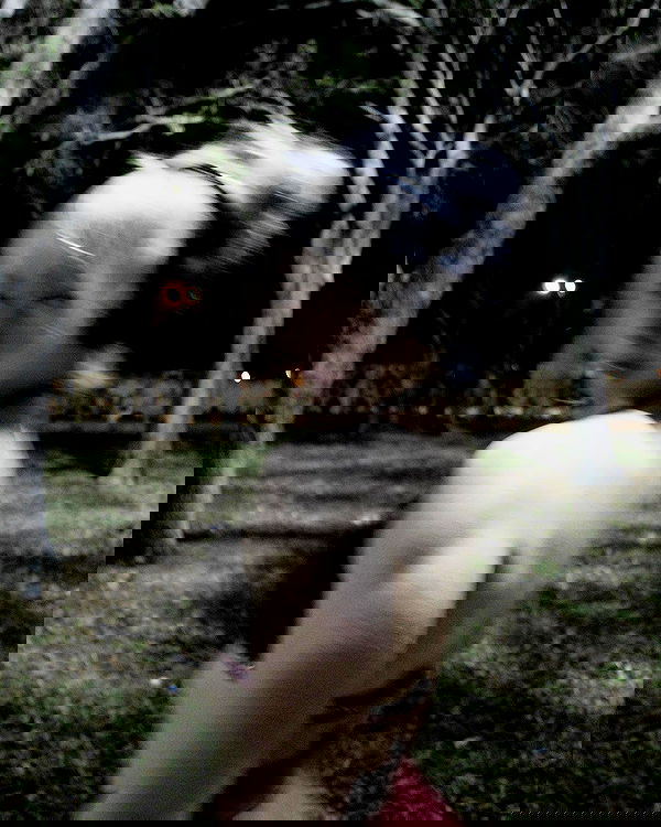 6nattynat9 6nattynat9 archive image