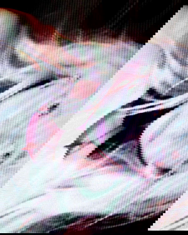 6nattynat9 6nattynat9 archive image