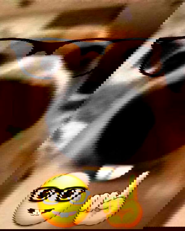 6nattynat9 6nattynat9 archive image