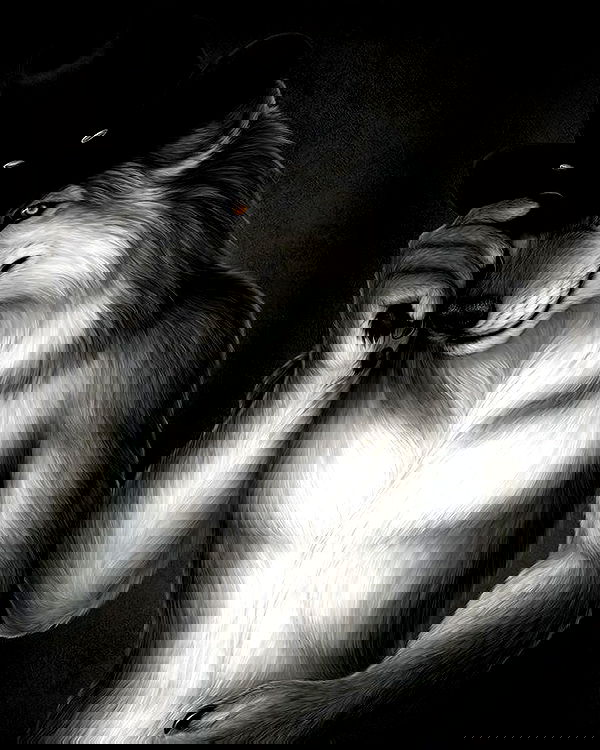 6nattynat9 6nattynat9 archive image