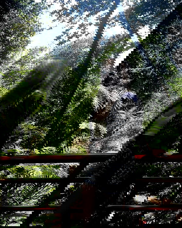 6nattynat9 6nattynat9 archive image