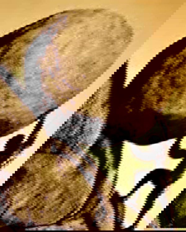 6nattynat9 6nattynat9 archive image