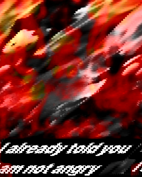 6nattynat9 6nattynat9 archive image