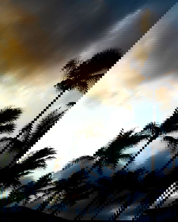 6nattynat9 6nattynat9 archive image