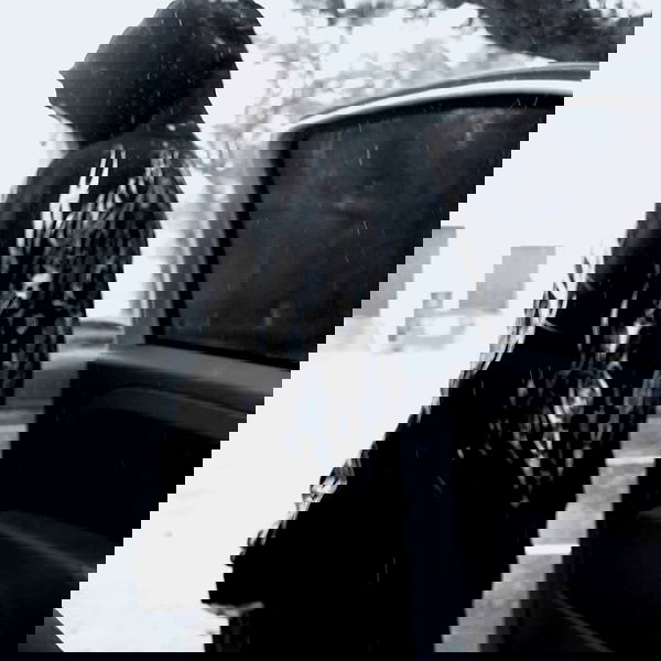 6nattynat9 6nattynat9 archive image