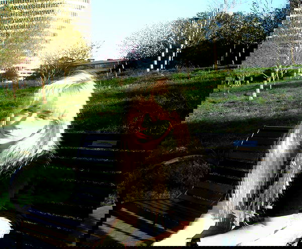 6nattynat9 6nattynat9 archive image