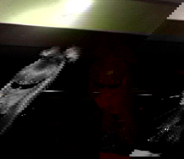 6nattynat9 6nattynat9 archive image