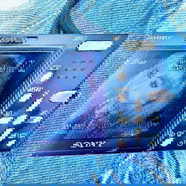 6nattynat9 6nattynat9 archive image