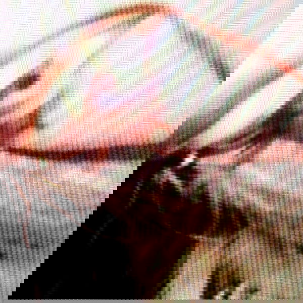 6nattynat9 6nattynat9 archive image