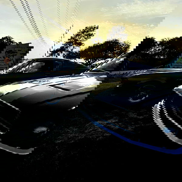 6nattynat9 6nattynat9 archive image