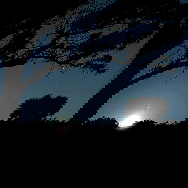 6nattynat9 6nattynat9 archive image