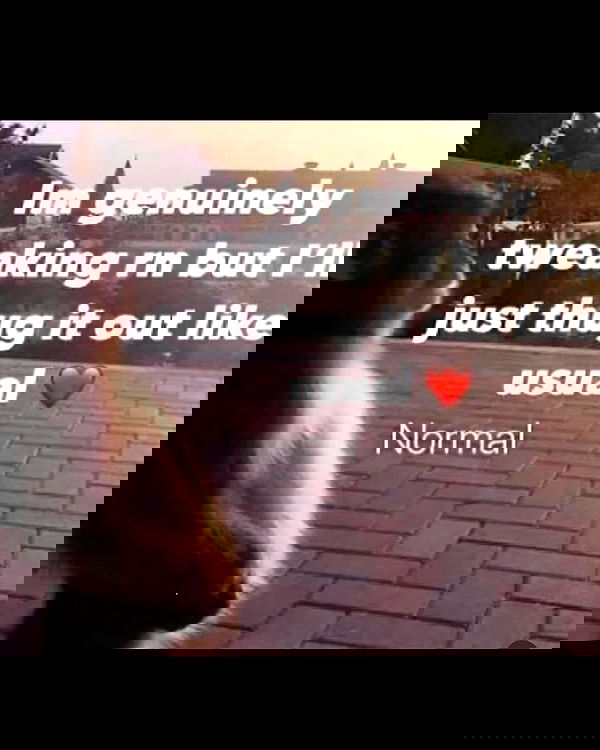 6nattynat9 6nattynat9 archive image