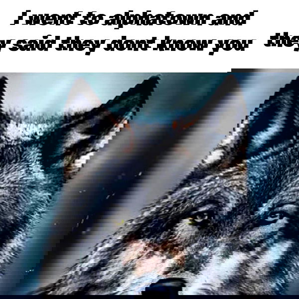 6nattynat9 6nattynat9 archive image