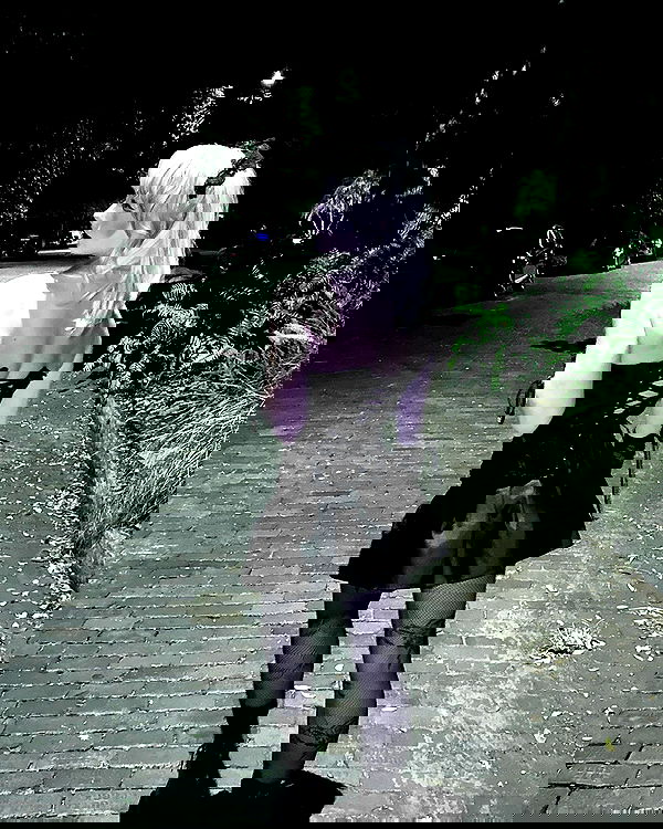 6nattynat9 6nattynat9 archive image