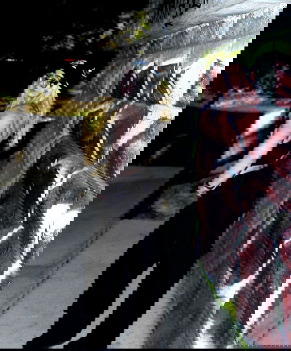 6nattynat9 6nattynat9 archive image