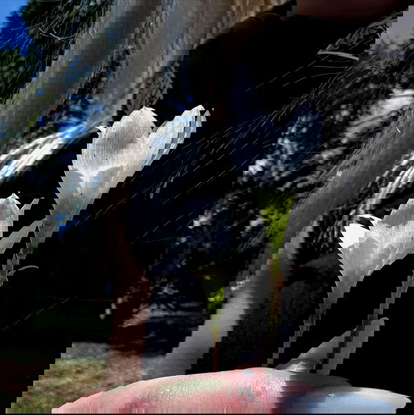 6nattynat9 6nattynat9 archive image