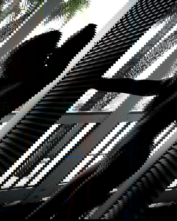 6nattynat9 6nattynat9 archive image