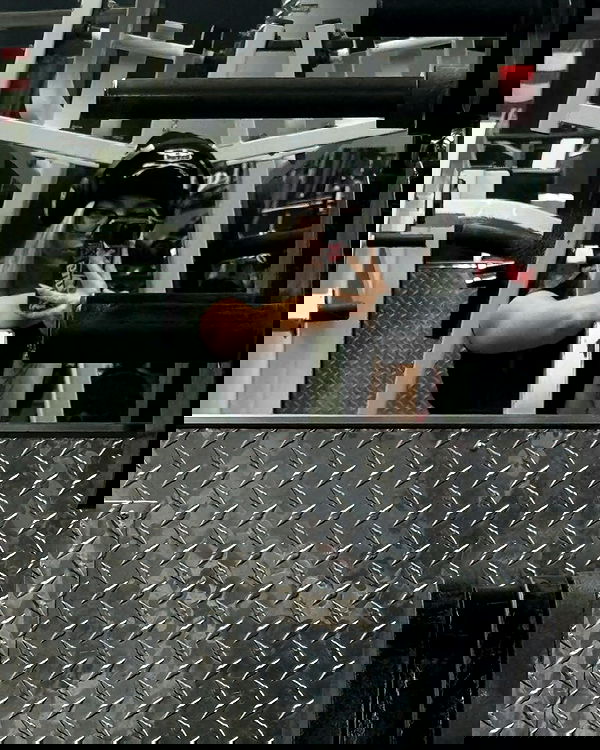 6nattynat9 6nattynat9 archive image