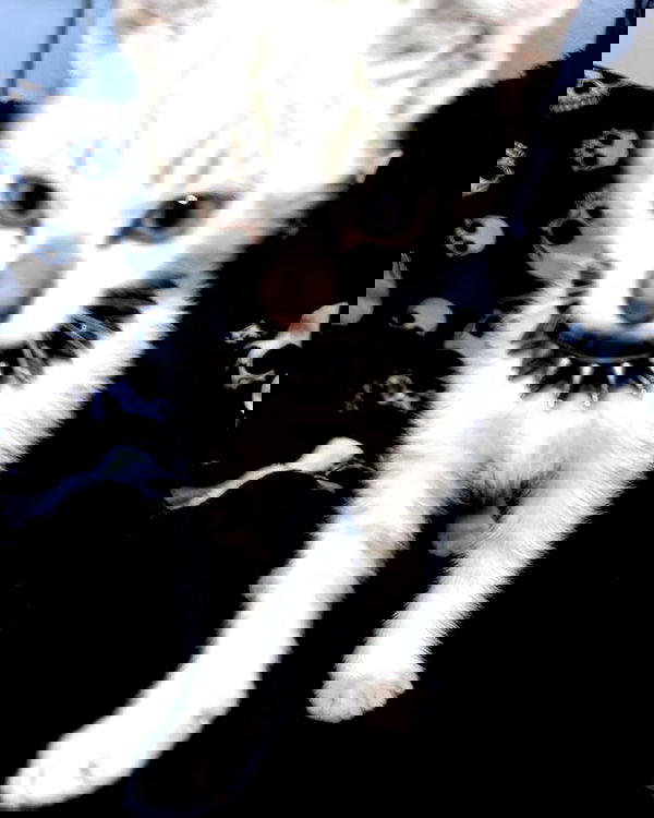 6nattynat9 6nattynat9 archive image