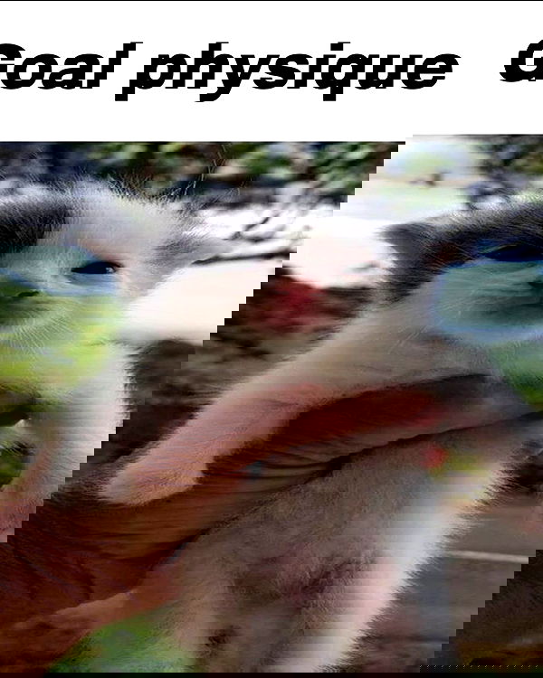 6nattynat9 6nattynat9 archive image