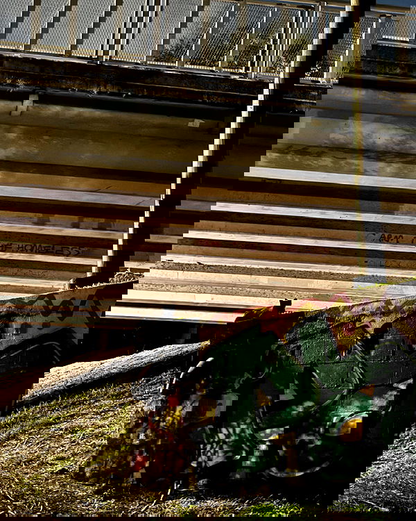 6nattynat9 6nattynat9 archive image