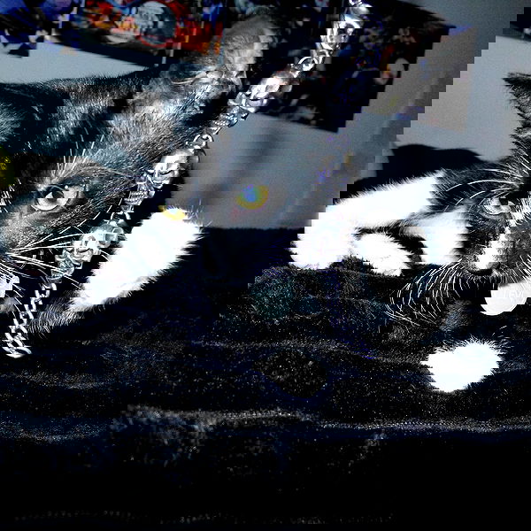 6nattynat9 6nattynat9 archive image