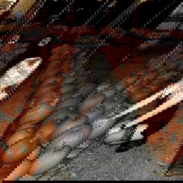 6nattynat9 6nattynat9 archive image