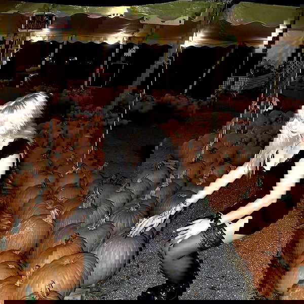 6nattynat9 6nattynat9 archive image