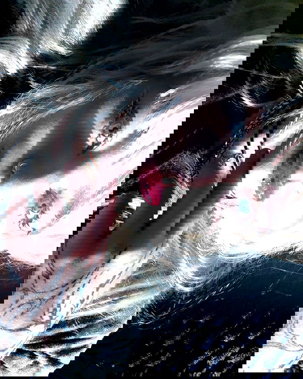 6nattynat9 6nattynat9 archive image