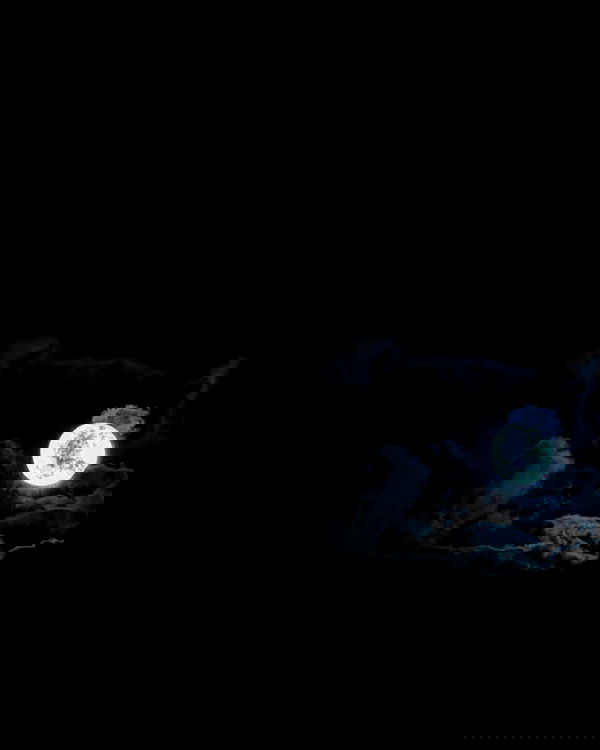 6nattynat9 6nattynat9 archive image