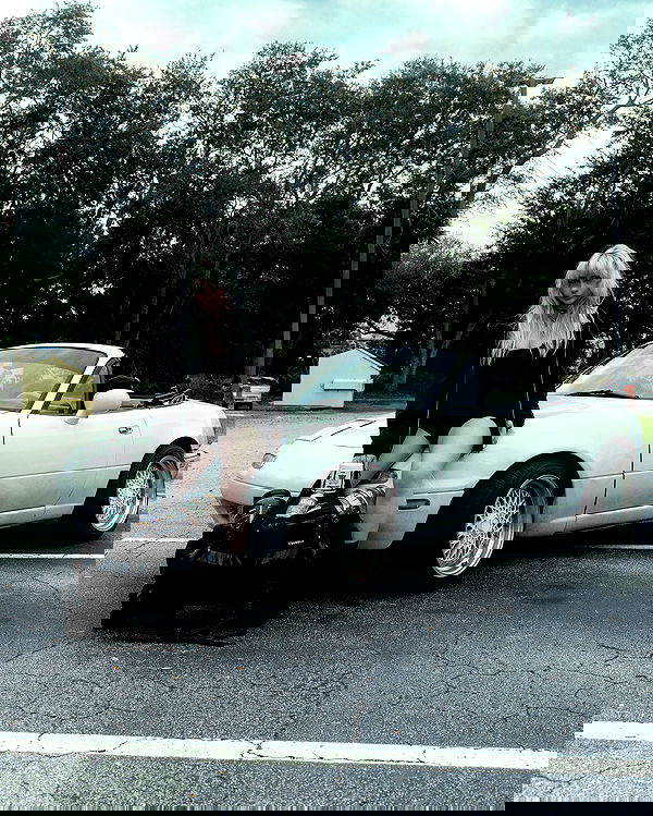 6nattynat9 6nattynat9 archive image