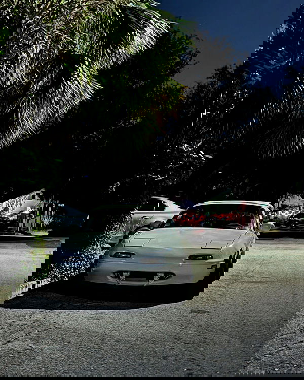 6nattynat9 6nattynat9 archive image