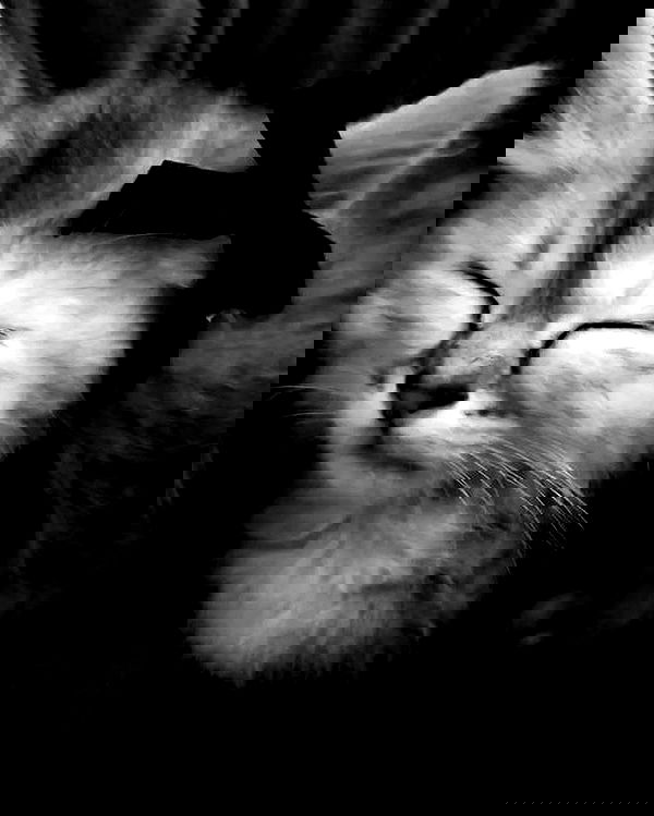 6nattynat9 6nattynat9 archive image