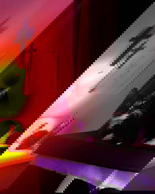 6nattynat9 6nattynat9 archive image