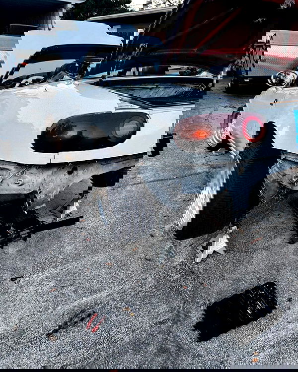 6nattynat9 6nattynat9 archive image