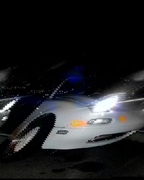 6nattynat9 6nattynat9 archive image