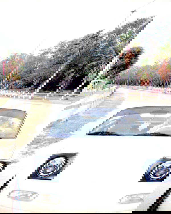 6nattynat9 6nattynat9 archive image