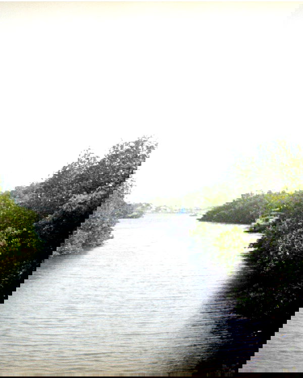 6nattynat9 6nattynat9 archive image