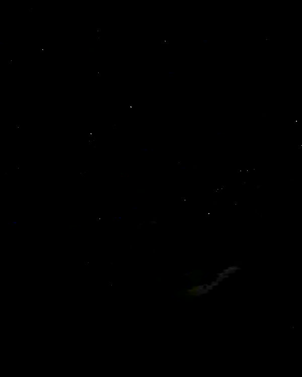 6nattynat9 6nattynat9 archive image