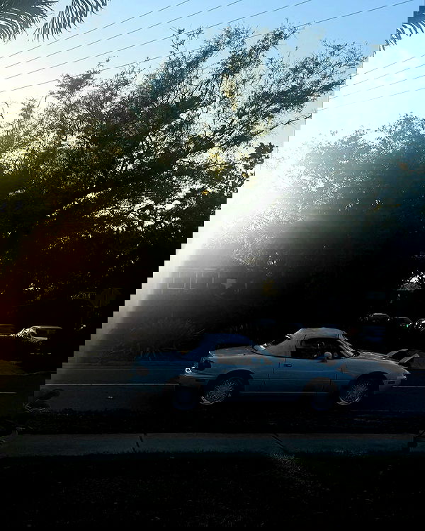 6nattynat9 6nattynat9 archive image