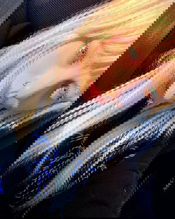 6nattynat9 6nattynat9 archive image