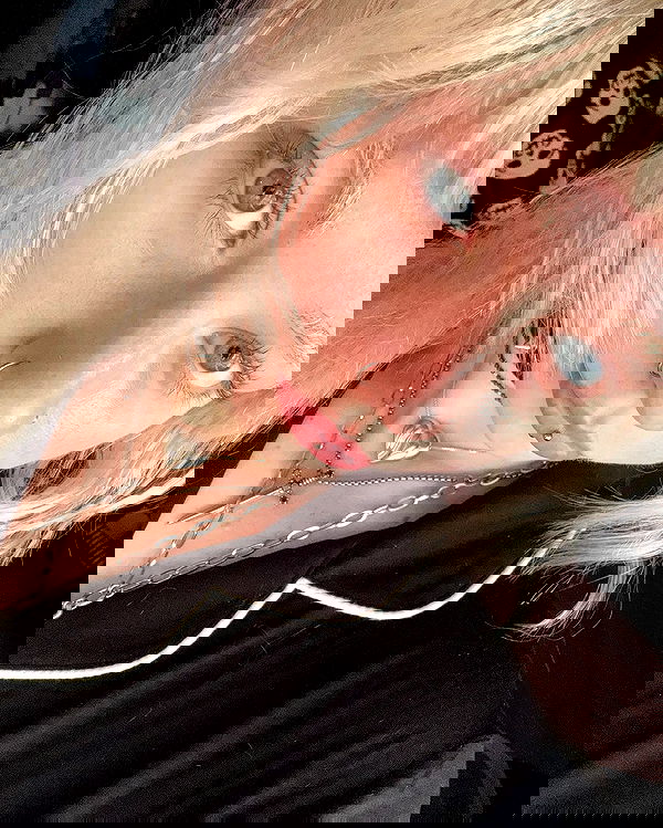 6nattynat9 6nattynat9 archive image