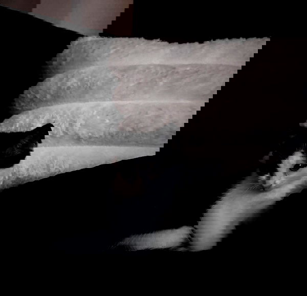 6nattynat9 6nattynat9 archive image