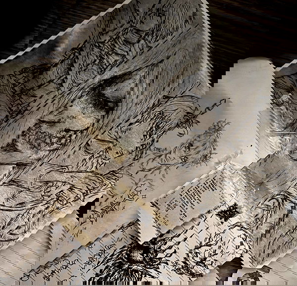 6nattynat9 6nattynat9 archive image